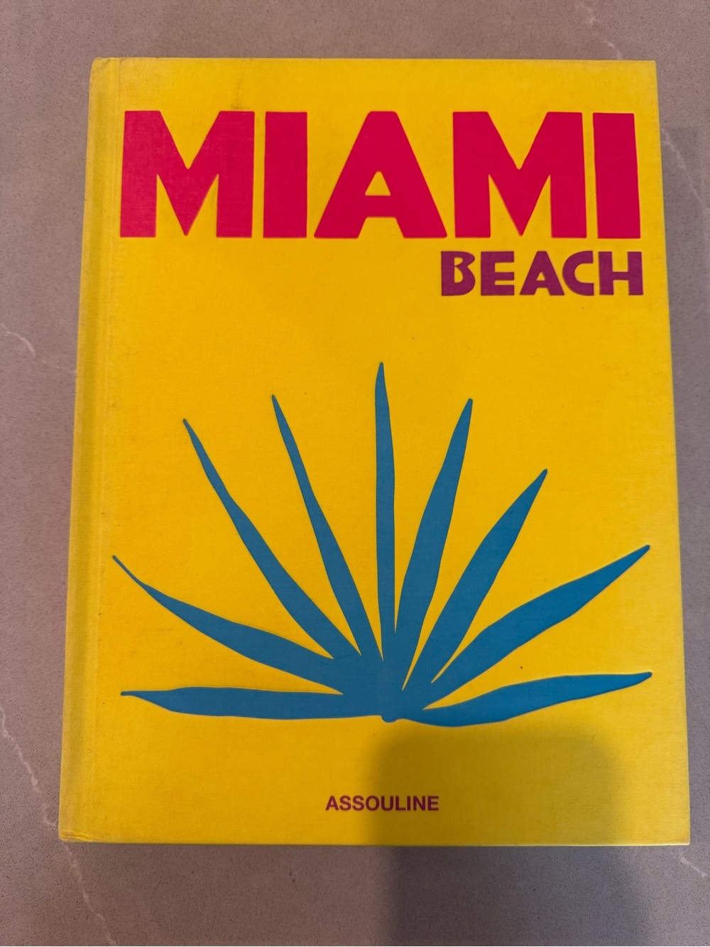 Miami Beach Assouline Coffee Table Book